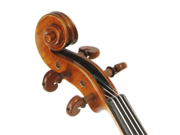 Andreas Eastman Standard VL405 and Advanced VL415 Violins, side scroll, adjusted at TEO musical Instruments