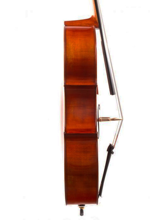 Albert Nebel CL601 Cello, intermediate, middle level, luthier, Eastman, China, professionally adjusted at Teo Musical Instruments London Ontario Canada