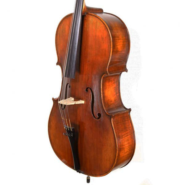Cello instrument, outfit, bow, strings, case, accessories, fitting part, rosin, mute, care products, polish, cleaner, Violins and such, Teo Musical Instruments, London, Ontario, Canada