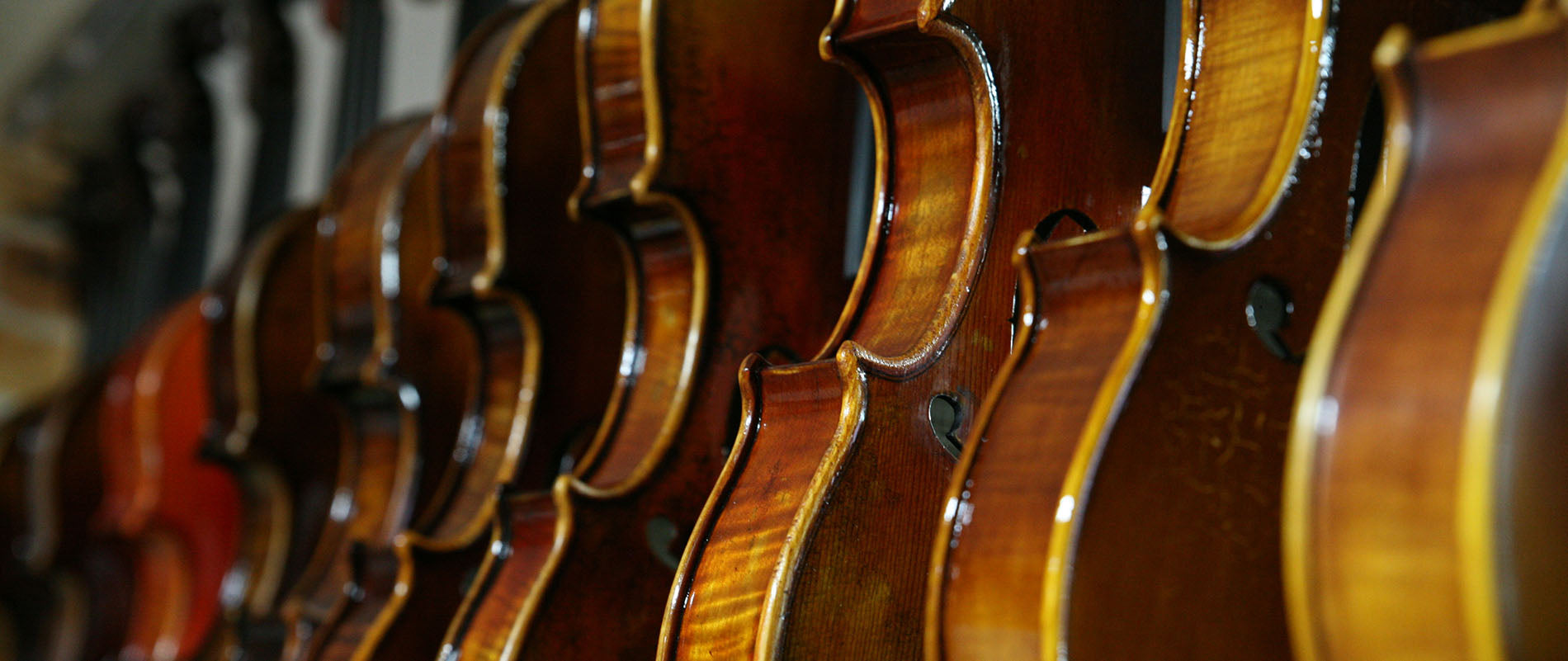 Atticus Fordi Regnbue Obligato Violin Strings | Violins and such