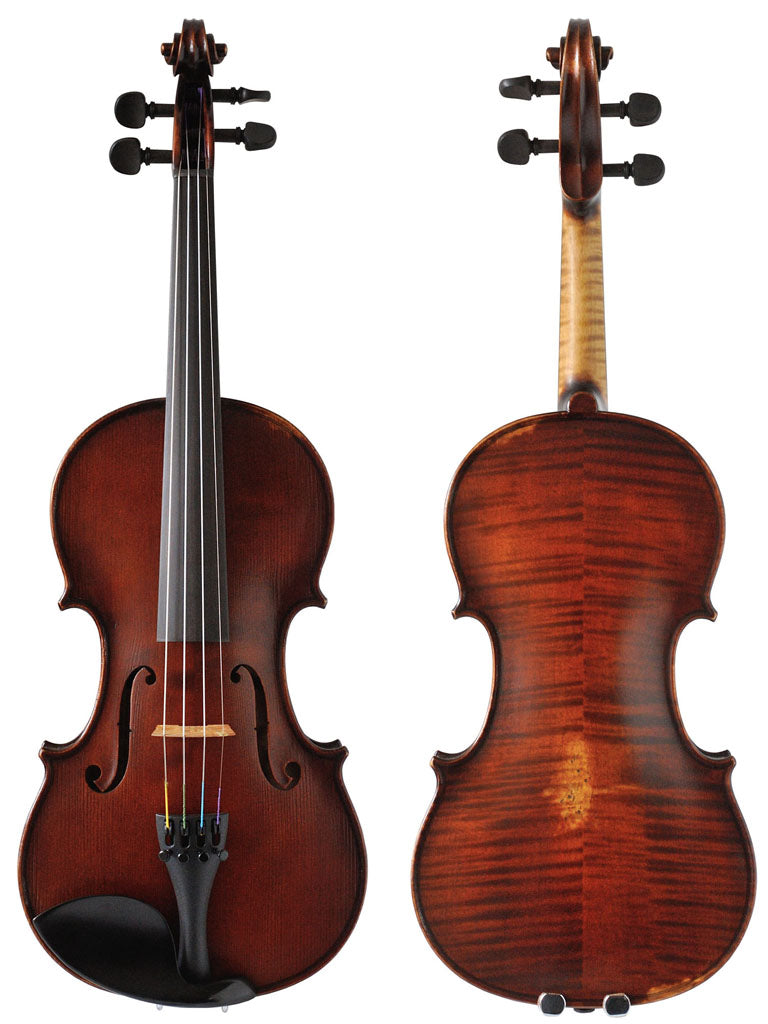 Germania 10 Paris Antiqued Violin, front and back body, Gewa, Germany