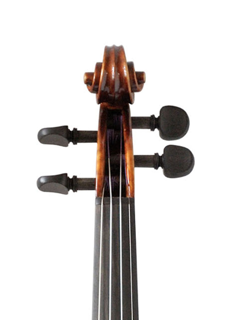 Gewa Germania 10 Rome Antiqued Violin, front scroll, adjusted at TEO musical Instruments