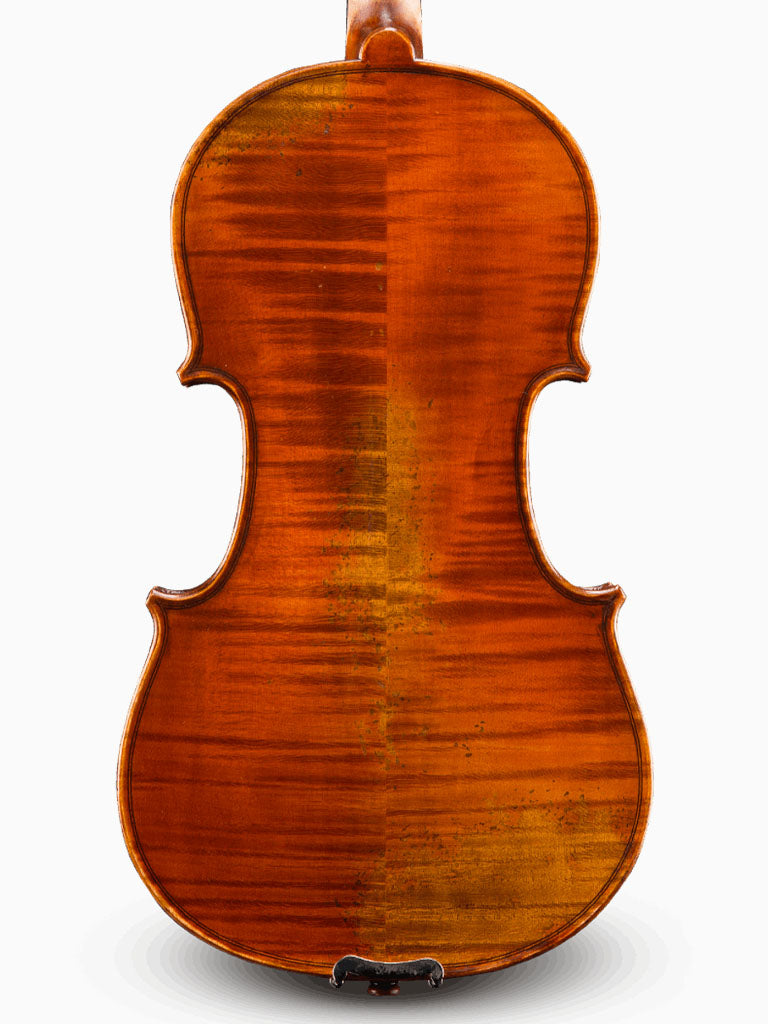 Andreas Eastman Standard VL405 and Advanced VL415 Violins, back angle, adjusted at TEO musical Instruments