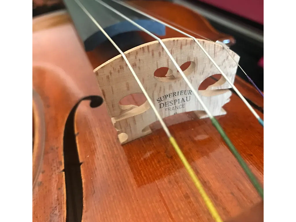 Andreas Eastman VL906 Violin, adjusted at TEO musical Instruments