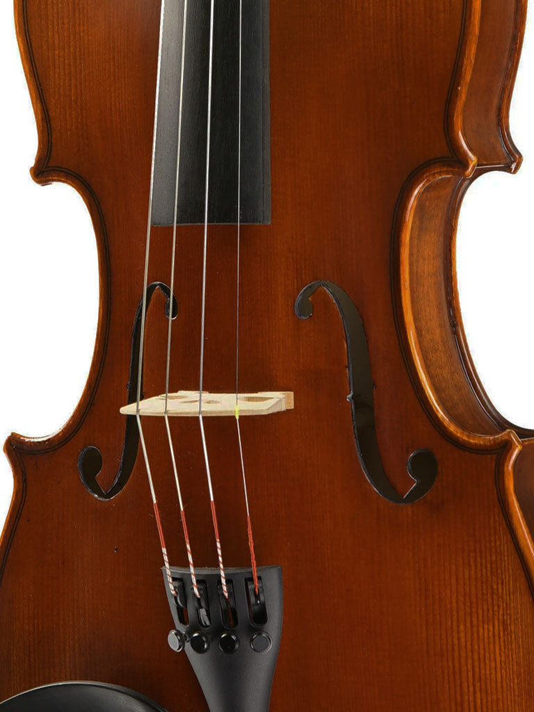 Ivan Dunov Prodigy 145 Violin, adjusted at TEO musical Instruments