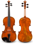 Albert Nebel VL601 Violin, adjusted at TEO musical Instruments