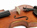 Albert Nebel VL601 Violin, adjusted at TEO musical Instruments