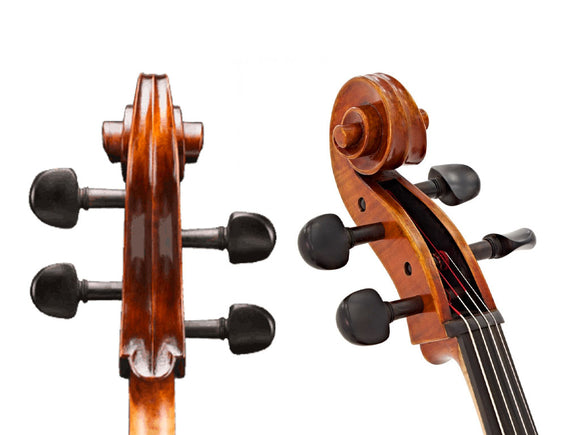 Andreas Eastman 305 Cello, beginner level, entry, Eastman, , China, professionally adjusted at Teo Musical Instruments London Ontario Canada