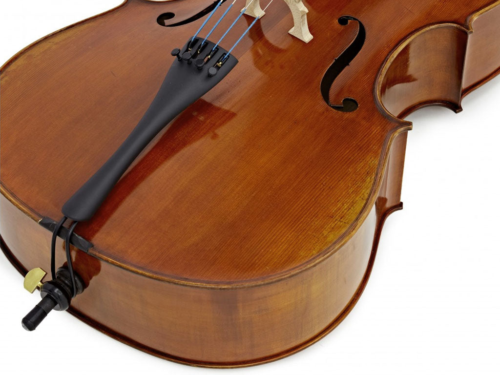 Andreas Eastman CL405 Cello