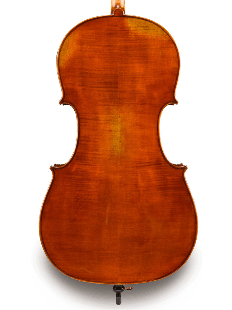 Albert Nebel CL601 Cello, intermediate, middle level, luthier, Eastman, China, professionally adjusted at Teo Musical Instruments London Ontario Canada