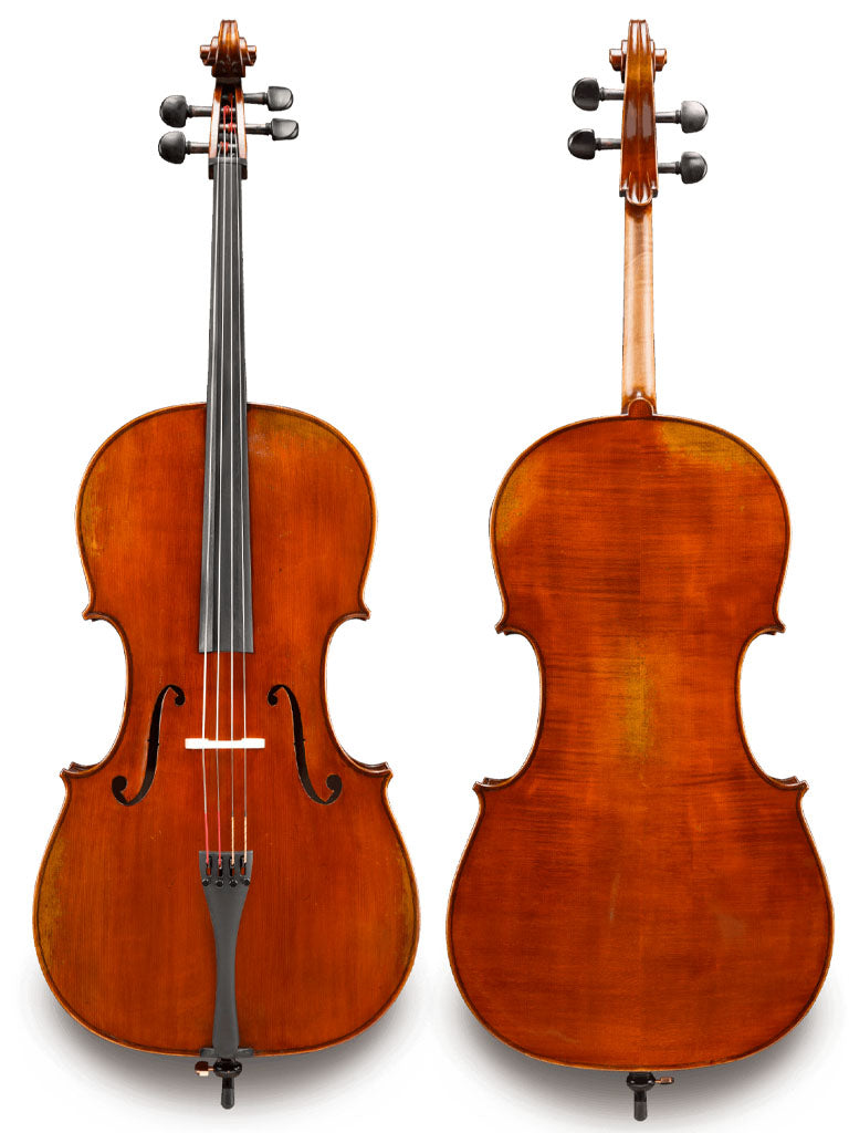 Albert Nebel CL601 Cello, intermediate, middle level, luthier, Eastman, China, professionally adjusted at Teo Musical Instruments London Ontario Canada