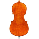 Vincenzo Bellini VB-306 Cello Outfit, Primo, China, Beginner, professionally adjusted at Teo Musical Instruments London Ontario Canada, Violins and such