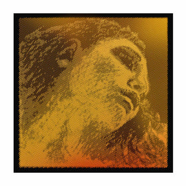 Evah Pirazzi Gold Violin Strings, Germany, full size, 4/4, 3/4, 1/2, 1/4, 1/8, hand-picked and inspected by Violins and such, with TEO musical Instruments, London Ontario Canada