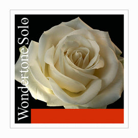 Wondertone Solo Violin Strings, Germany, full size, 4/4, hand-picked and inspected by Violins and such, with TEO musical Instruments, London Ontario Canada